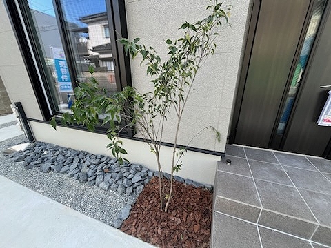 グリーンヒルズ若菜町